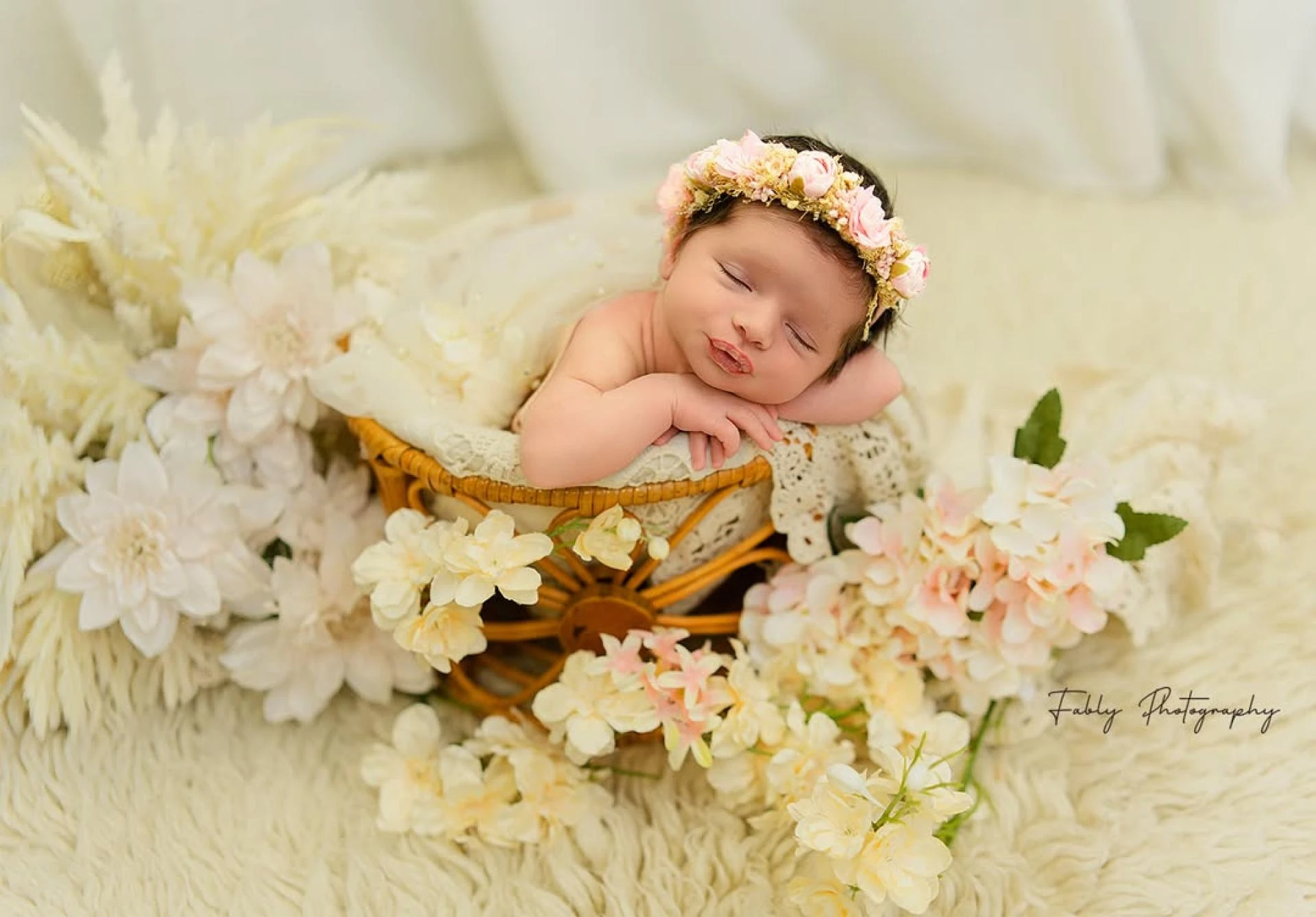 Capturing Precious Beginnings: The Ultimate Guide to Newborn Photography Sydney