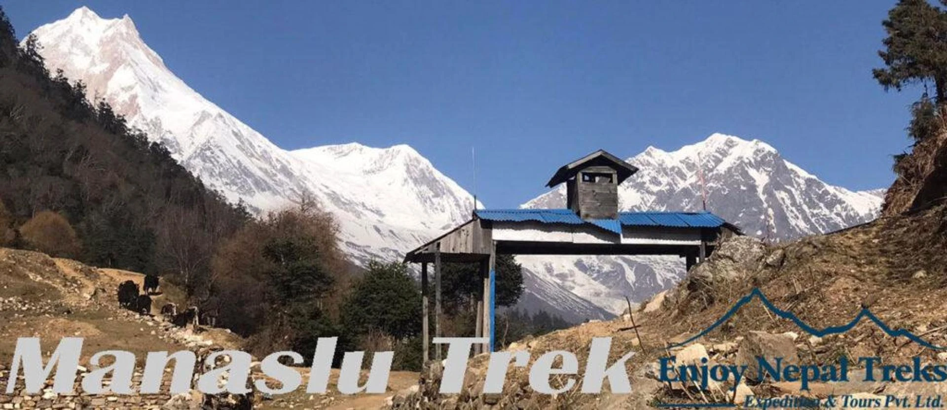 Unlock the Cheapest Manaslu Circuit Trek Cost in Nepal Without Cutting Comfort