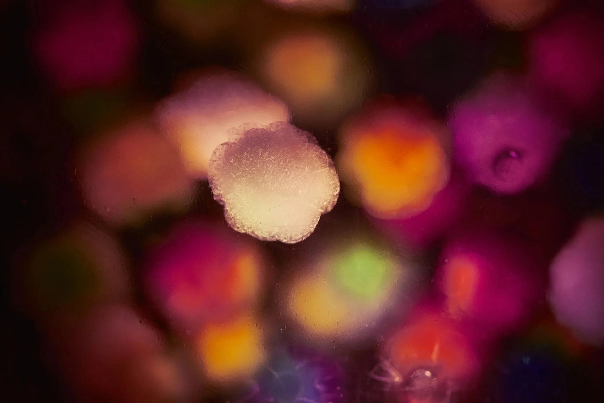Low Carbon Dyeing: A Sustainable Shift for the Future of Textiles