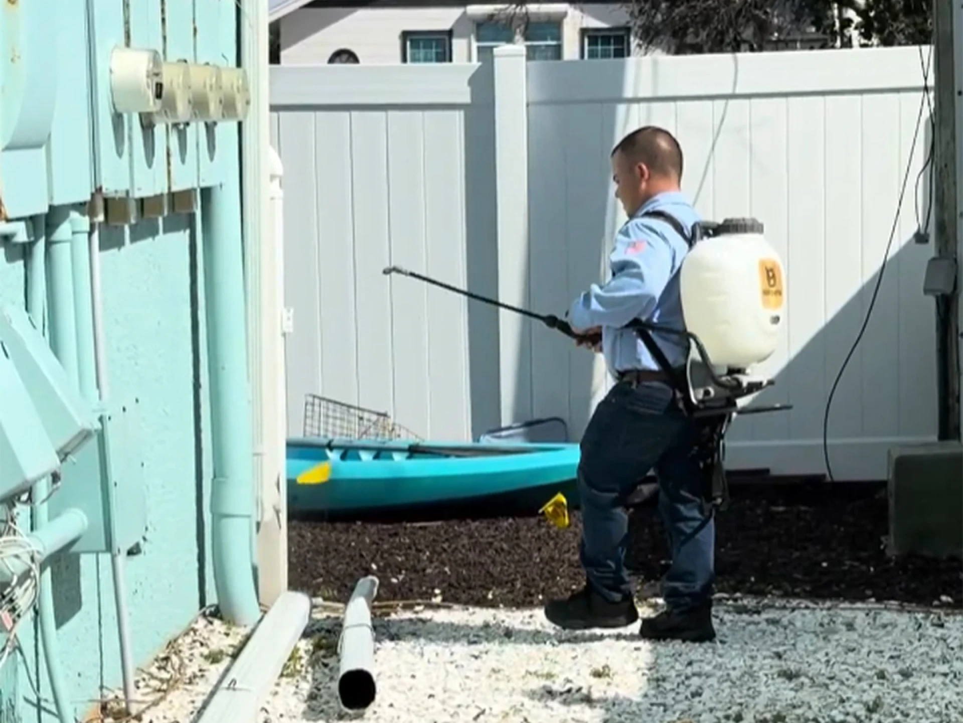Benefits of Professional Rodent Extermination for Long-Lasting Results