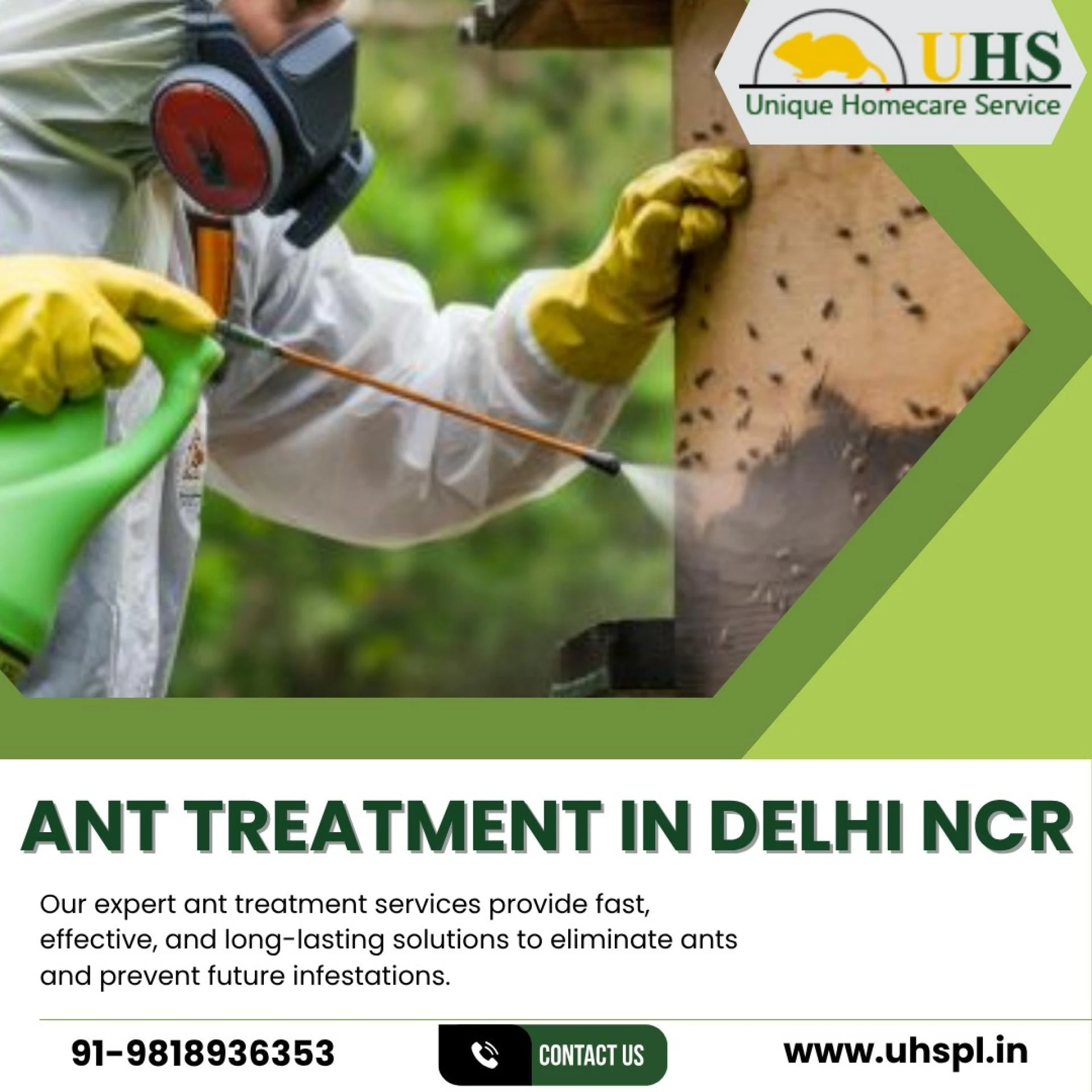 Conquering the Ant Invasion: Professional Ant Pest Control in Delhi NCR by UHS