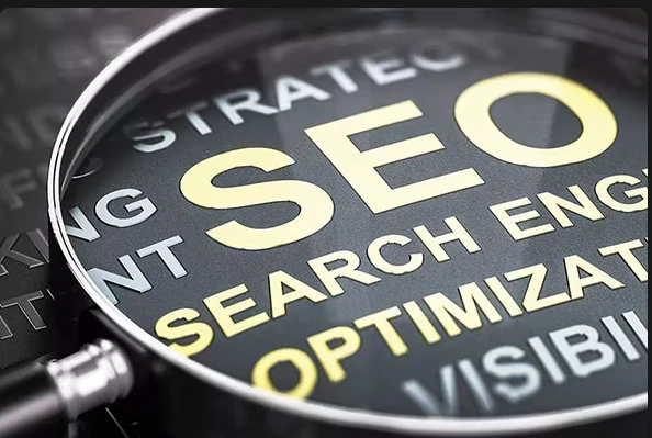 WordPress Website Maintenance Jacksonville: Monthly vs Annual Plans—Which Financial Rhythm is Right for Your Business Beat?