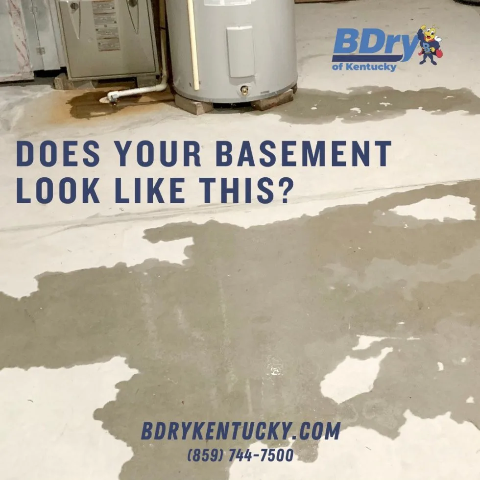 Kentucky Homeowners Guide to Reliable Basement Protection