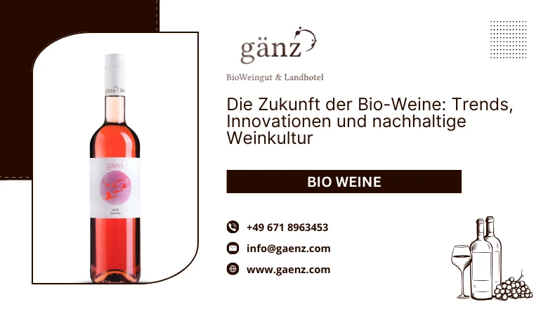 Die Zukunft der Bio-Weine: Trends, Innovationen und nachhaltige Weinkultur 🍇🍷