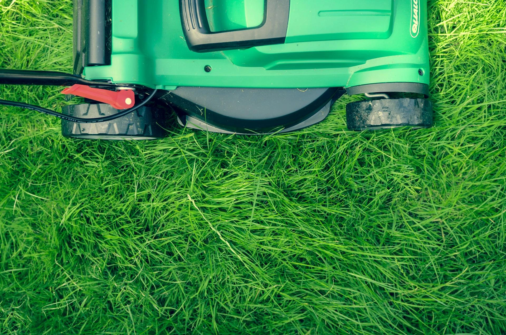 Expert Tips for Maintaining Your Lawn Between Service Visits