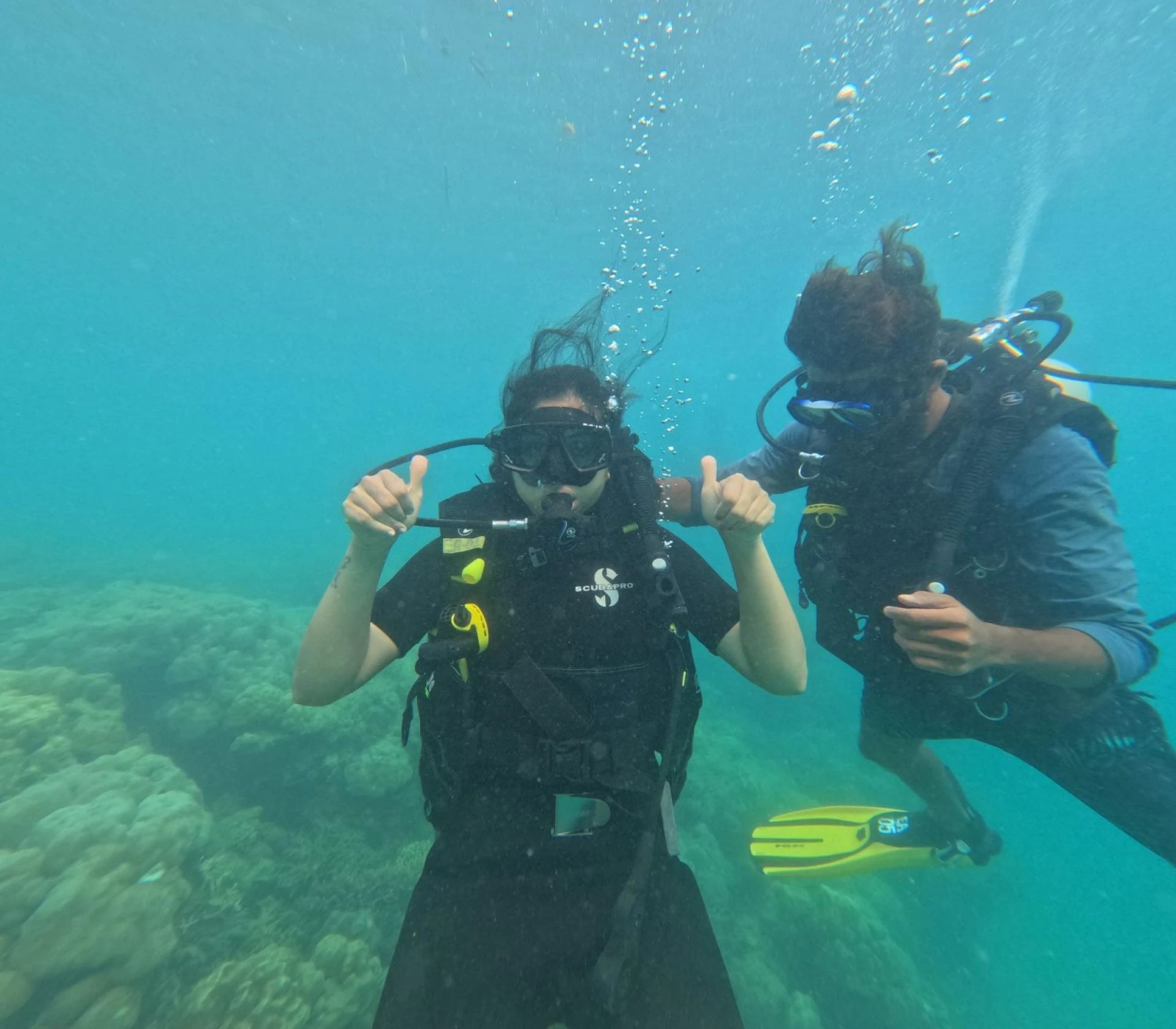 Dive Deep in Paradise: Scuba Diving in Andaman & Top Scuba Dive Courses in Andaman Islands