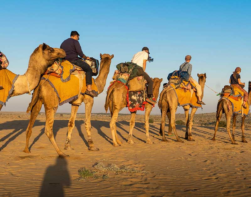 Iconic Activities to Enjoy in Jaisalmer