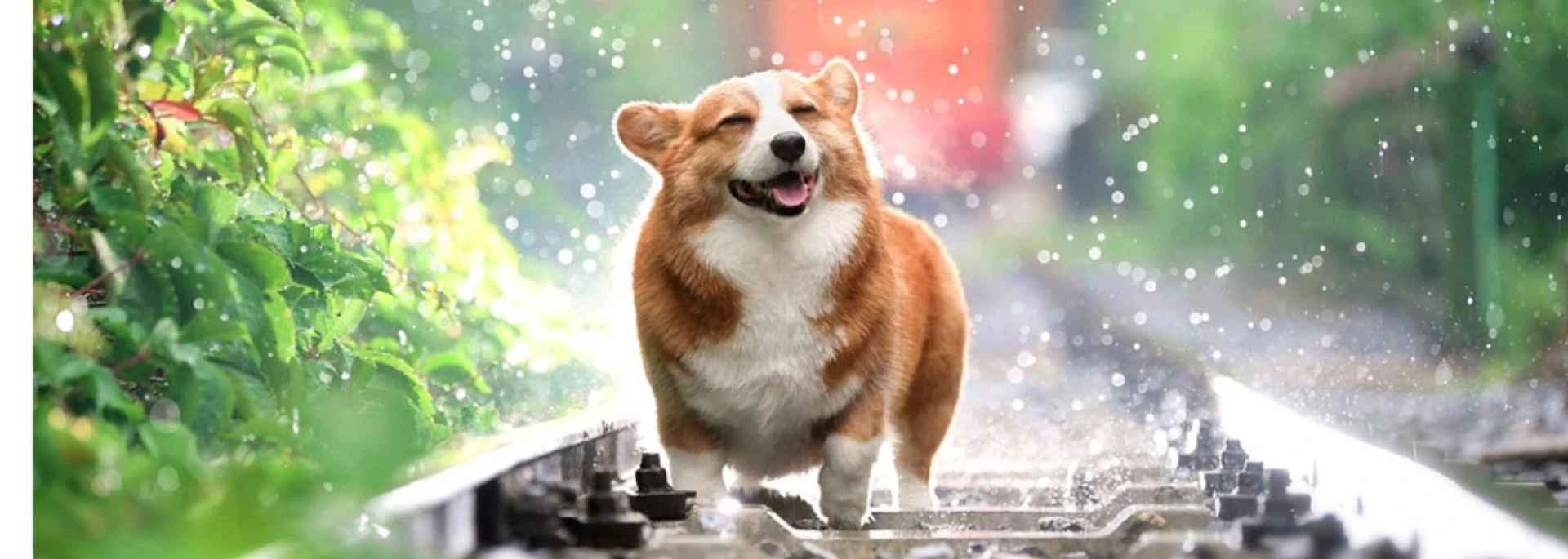 Understanding Vaccine Reactions: When to Worry and When Not To