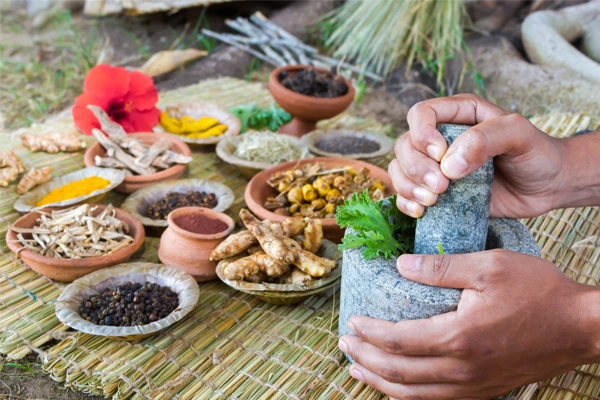 Why Choose Ayurveda Over Modern Treatment? - The Natural Path to Long-Lasting Health