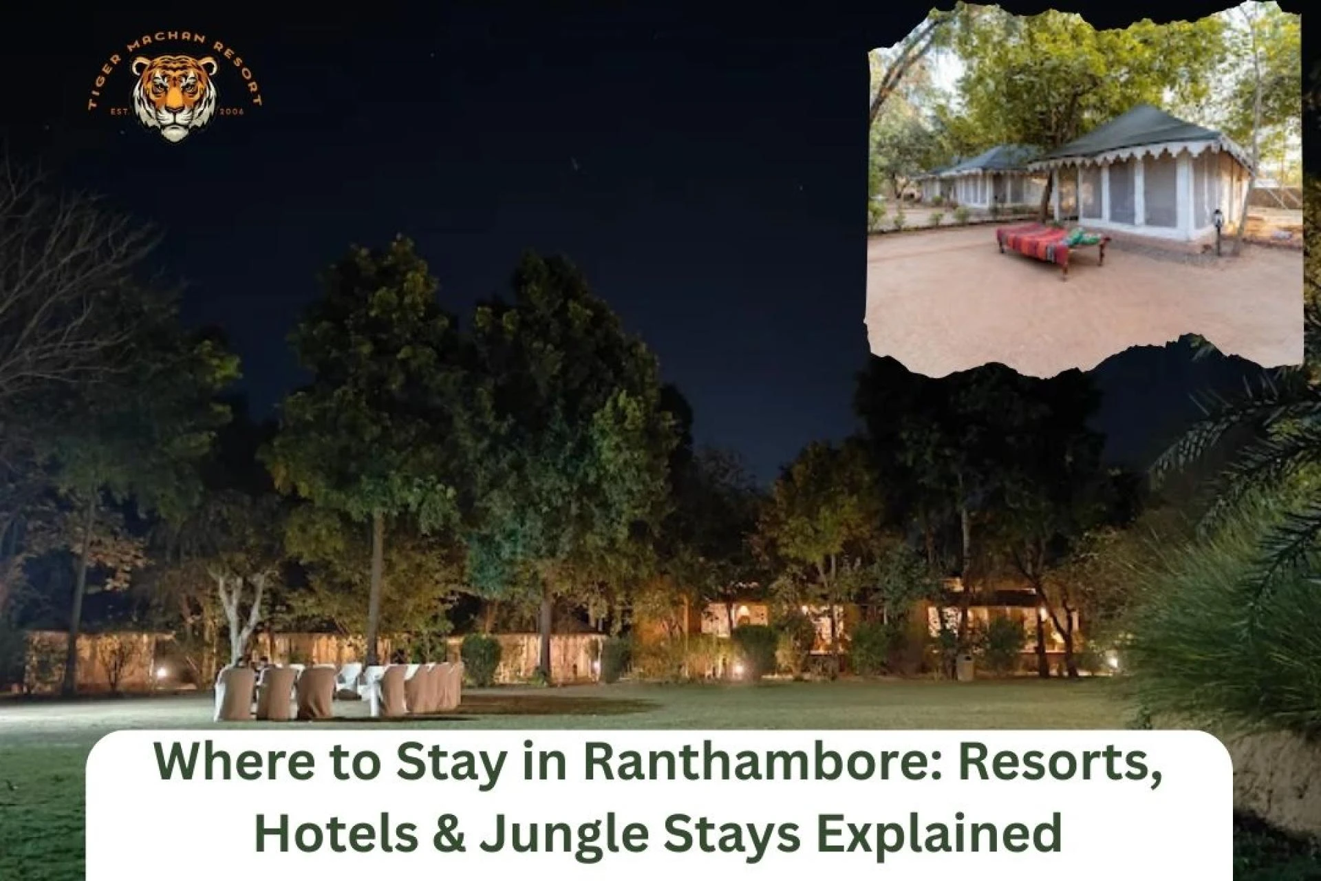 Where to Stay in Ranthambore: Resorts, Hotels & Jungle Stays Explained