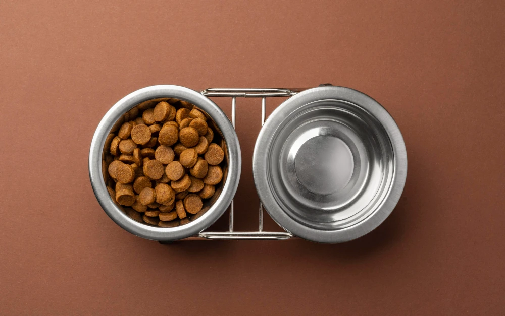 Why Size Matters: Choosing the Right Extra Large Dog Bowl for Your Big Dog