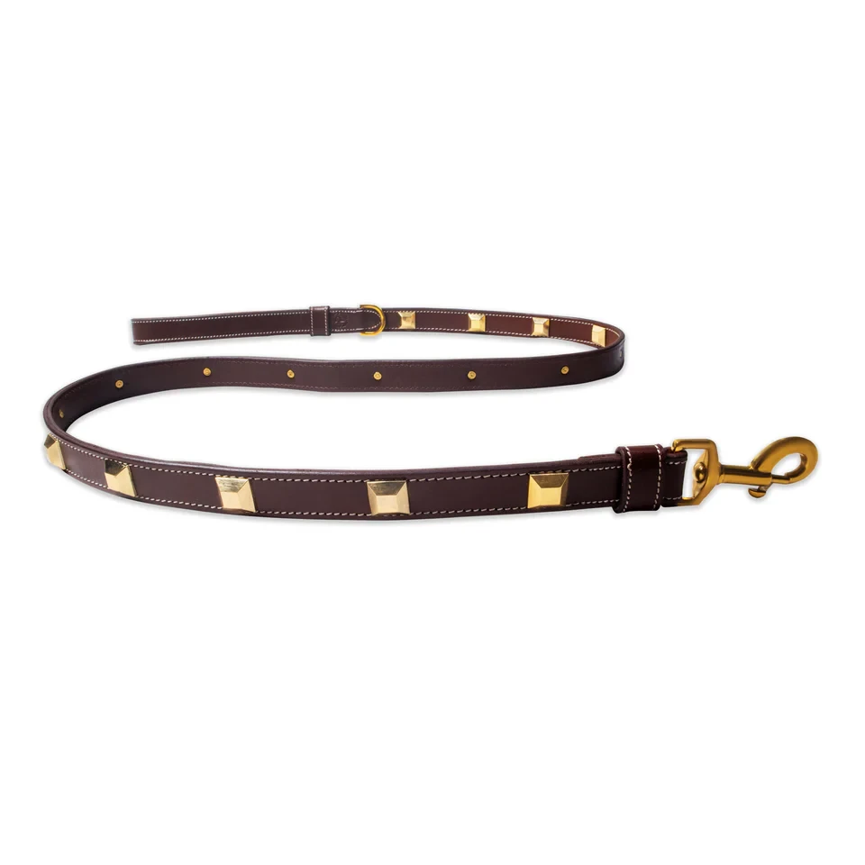 Why Leather Leashes Remain the Gold Standard for Style, Strength, and Comfort