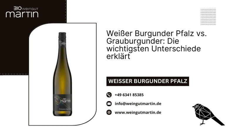 Weißer Burgunder Pfalz vs. Grauburgunder: Die wichtigsten Unterschiede erklärt