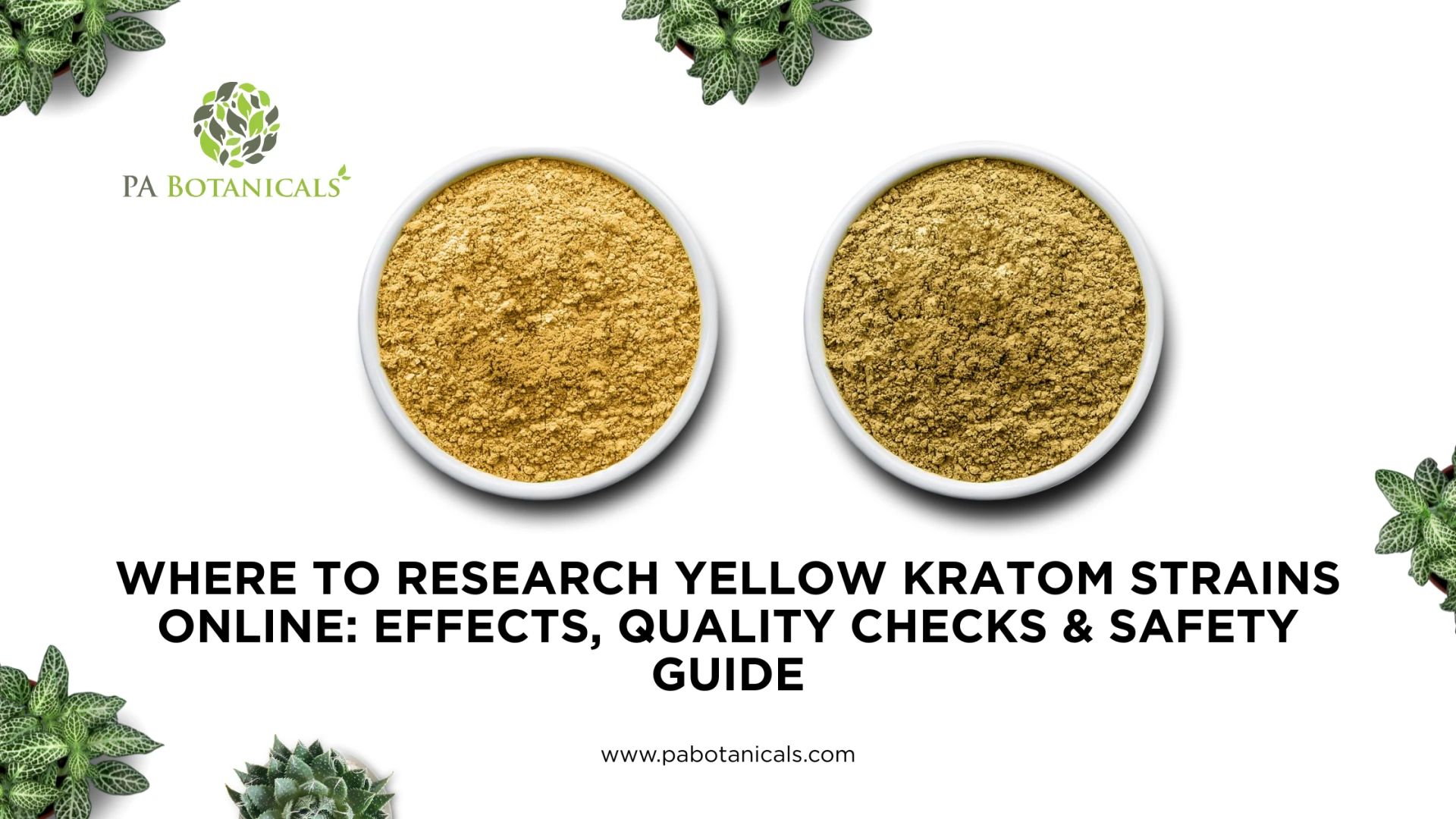 Where to Research Yellow Kratom Strains Online: Effects, Quality Checks & Safety Guide
