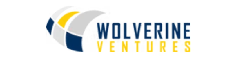 Wolverine Ventures: Turning Distressed Assets Into Strategic Opportunities