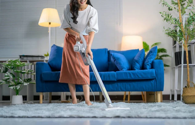 Carpet Cleaning in Novi, MI: How Often Should You Clean Your Carpets? A Comprehensive Schedule for Every Home