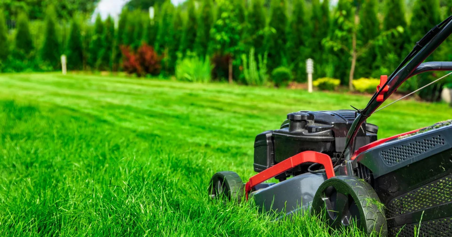 Oran Park Mowing: DIY Tips vs. Hiring Pros