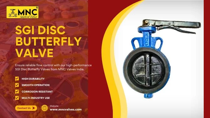How SGI Disc Butterfly Valves Work and Where They Are Used | MNC Valves India