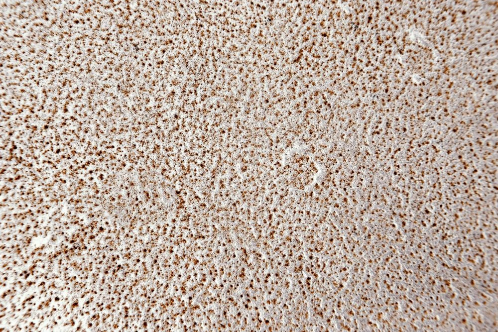 The Rise of Bouclé Upholstery Fabric in Sustainable UK Interior Design