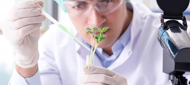 BSc Biotechnology: Building a Future in Life Sciences