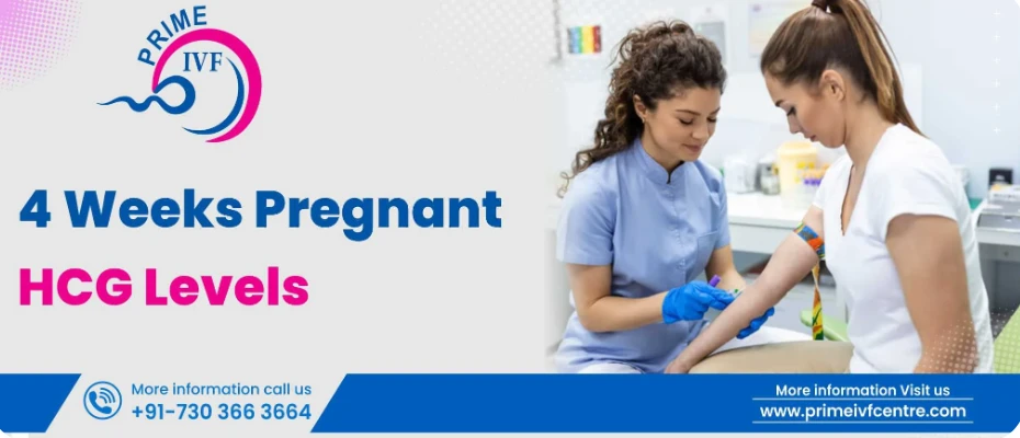 4 Weeks Pregnant hCG Levels | IVF Doctor in Delhi