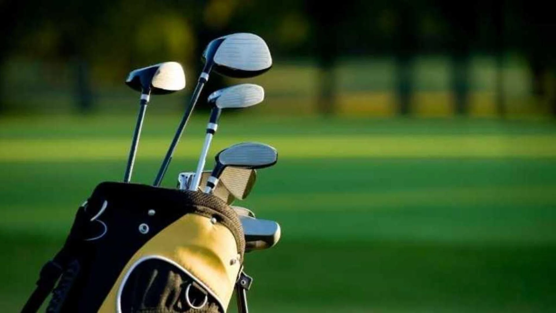 Golf Range Equipment for Professional Ball Display: Elevating the Modern Driving Range