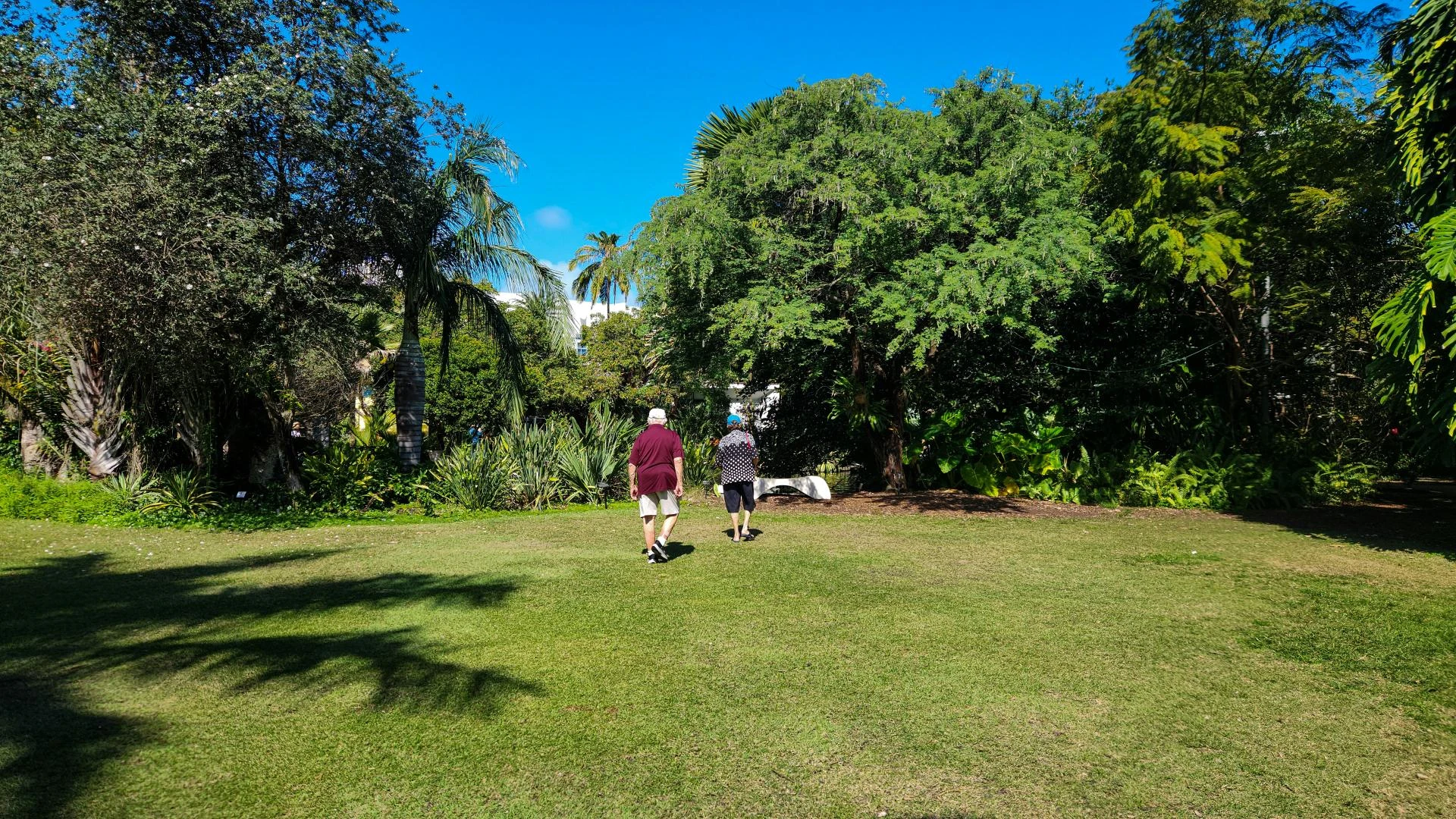 Schedule Affordable Services from All Seasons Lawn Care & Landscaping in Baton Rouge, LA