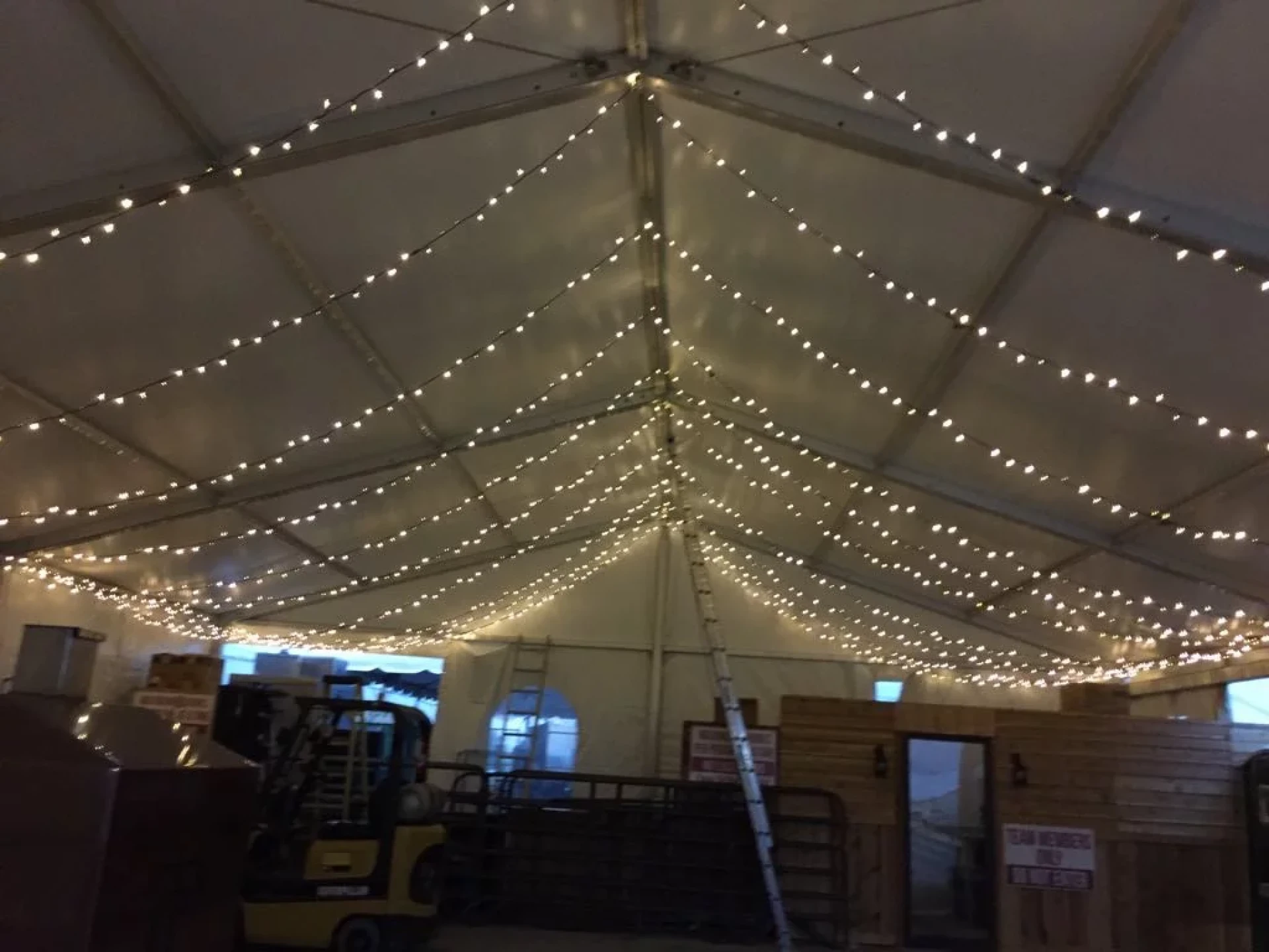 From Backyard to Ballroom: Professional Event Lighting That Turns Heads