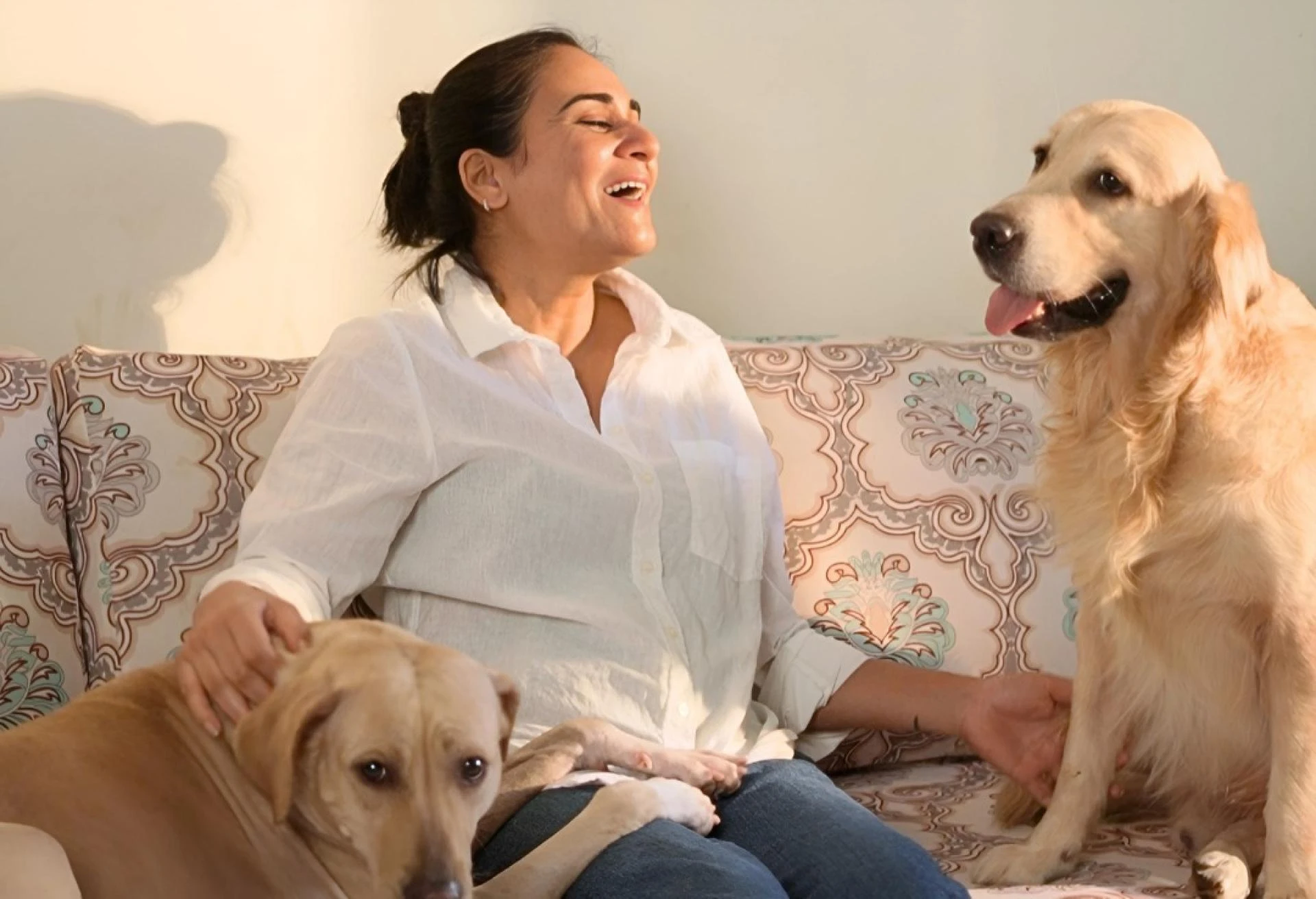 Why Protein Quality Matters in Modern Canine Diets The Georginas Kitchen Perspective