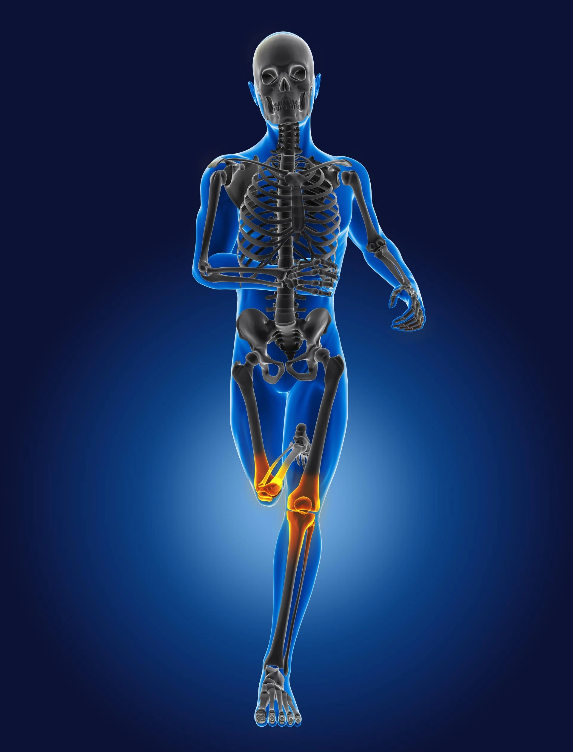 Why Use Collagen With Omega 3 Fatty Acids for Joints?