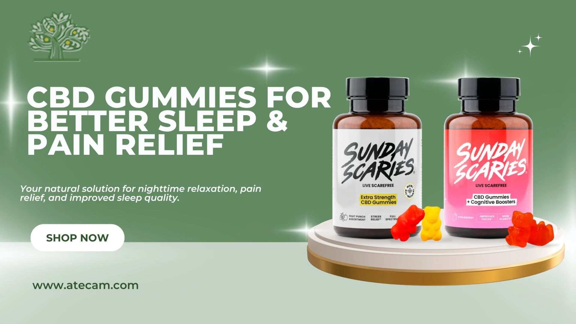 Explore How CBD Gummies For Sleep And CBD Gummies For Pain Can Transform Your Nightly Routine Naturally
