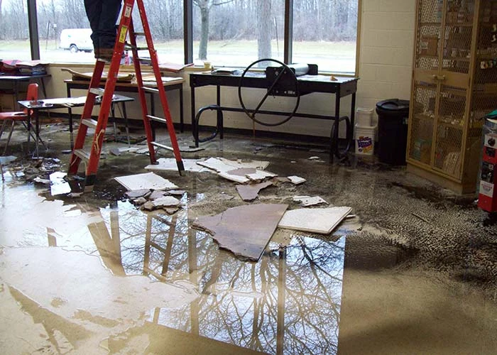 Sewage Damage Cleanup: A Complete Guide to Safe and Effective Restoration