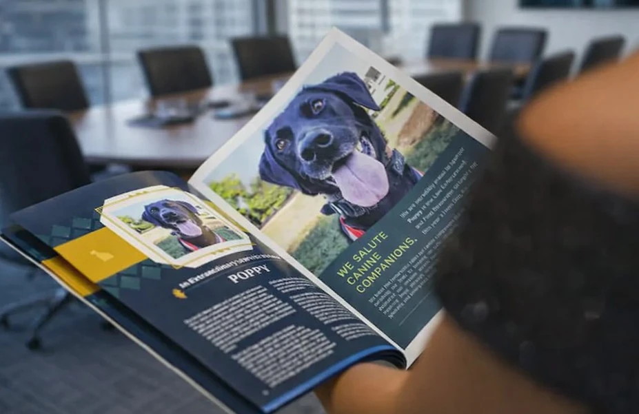 Design Mistakes to Avoid in Custom Brochure Printing