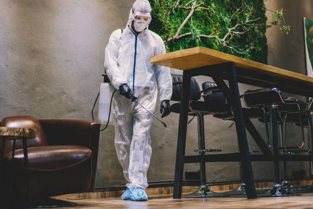 Termite Monitoring: Protect Your Overland Park Property Before Damage Occurs