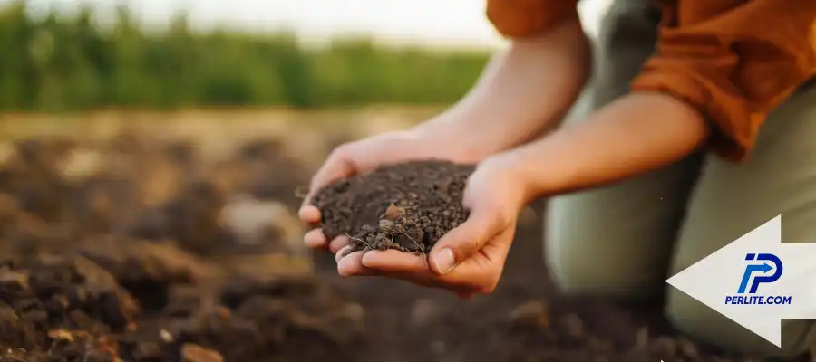 Perlite Horticultural: Supporting Healthy Plant Growth Across Oregon and the West Coast