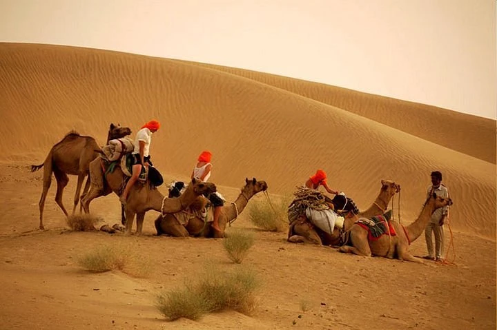 How to Plan an Overnight Camel Safari in Jaisalmer