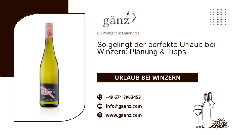 So gelingt der perfekte Urlaub bei Winzern: Planung & Tipps 🍷🌿