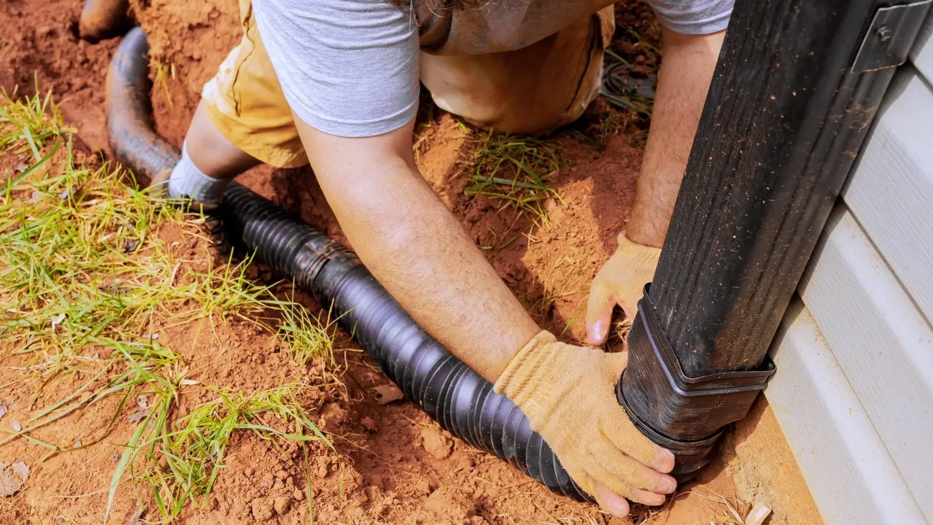 Licensed Plumber Brisbane: Why Professional Certification Matters for Your Home