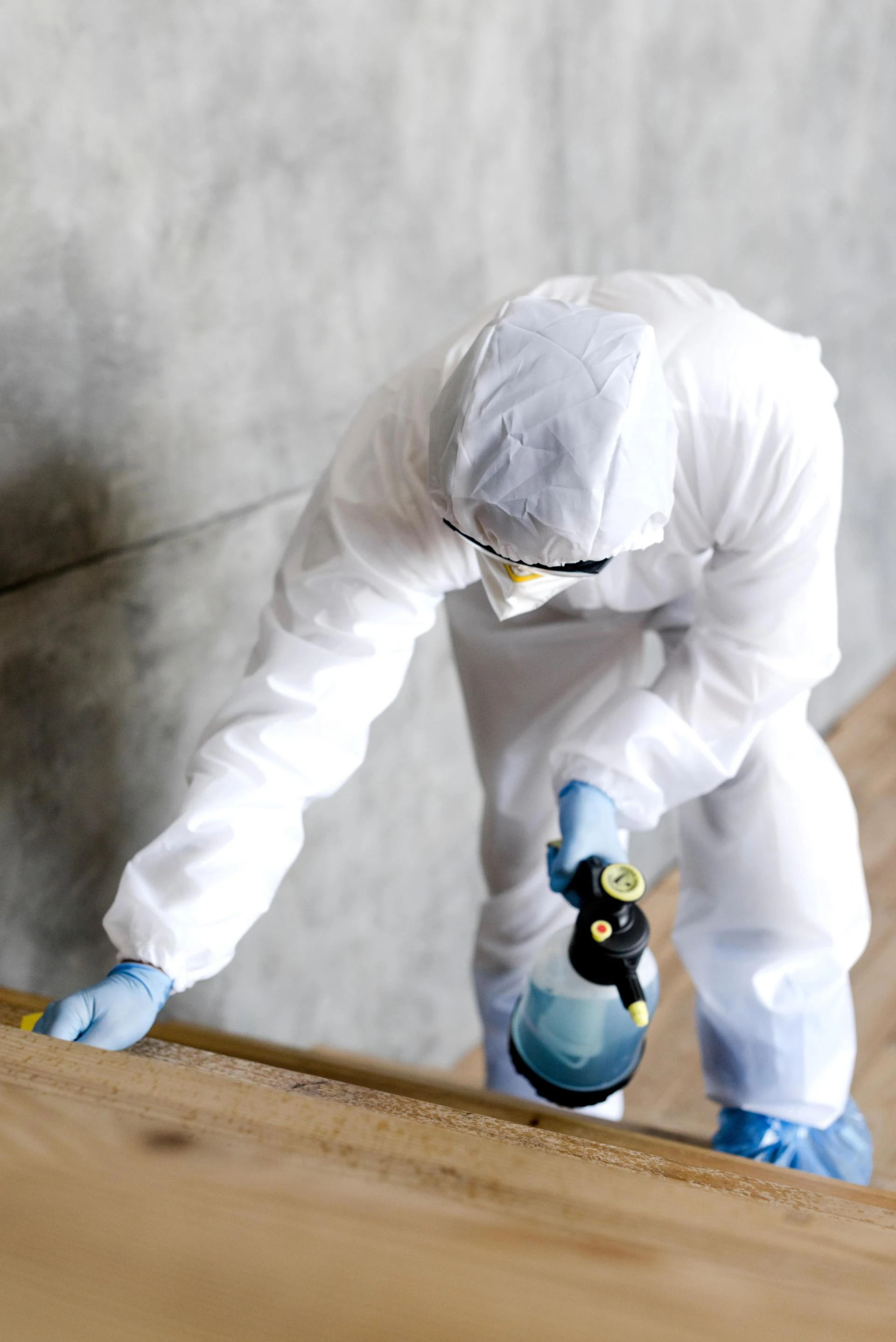 Protecting Your Business from Hidden Threats: A Complete Guide to Mold Remediation