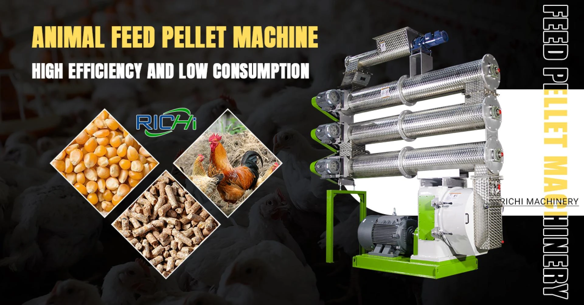 Chicken Feed Factory Equipment: A Complete Overview to Modern Poultry Feed Creation