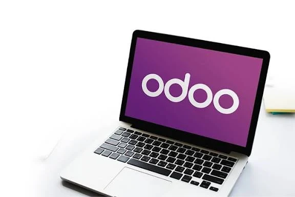 The Greatest Arguments for Working with a Jaipur Accredited Odoo Partner 