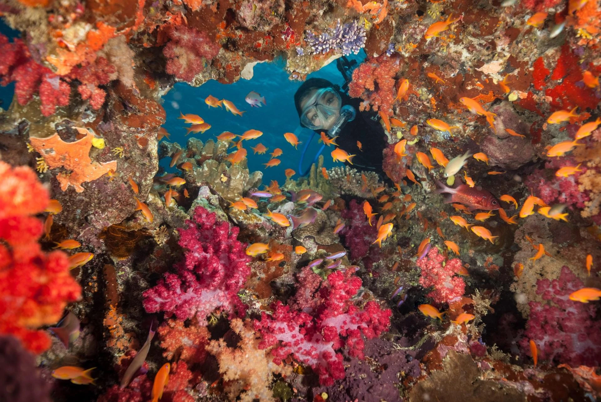 Mastering the Deep with Paradise Taveuni’s Dive Courses