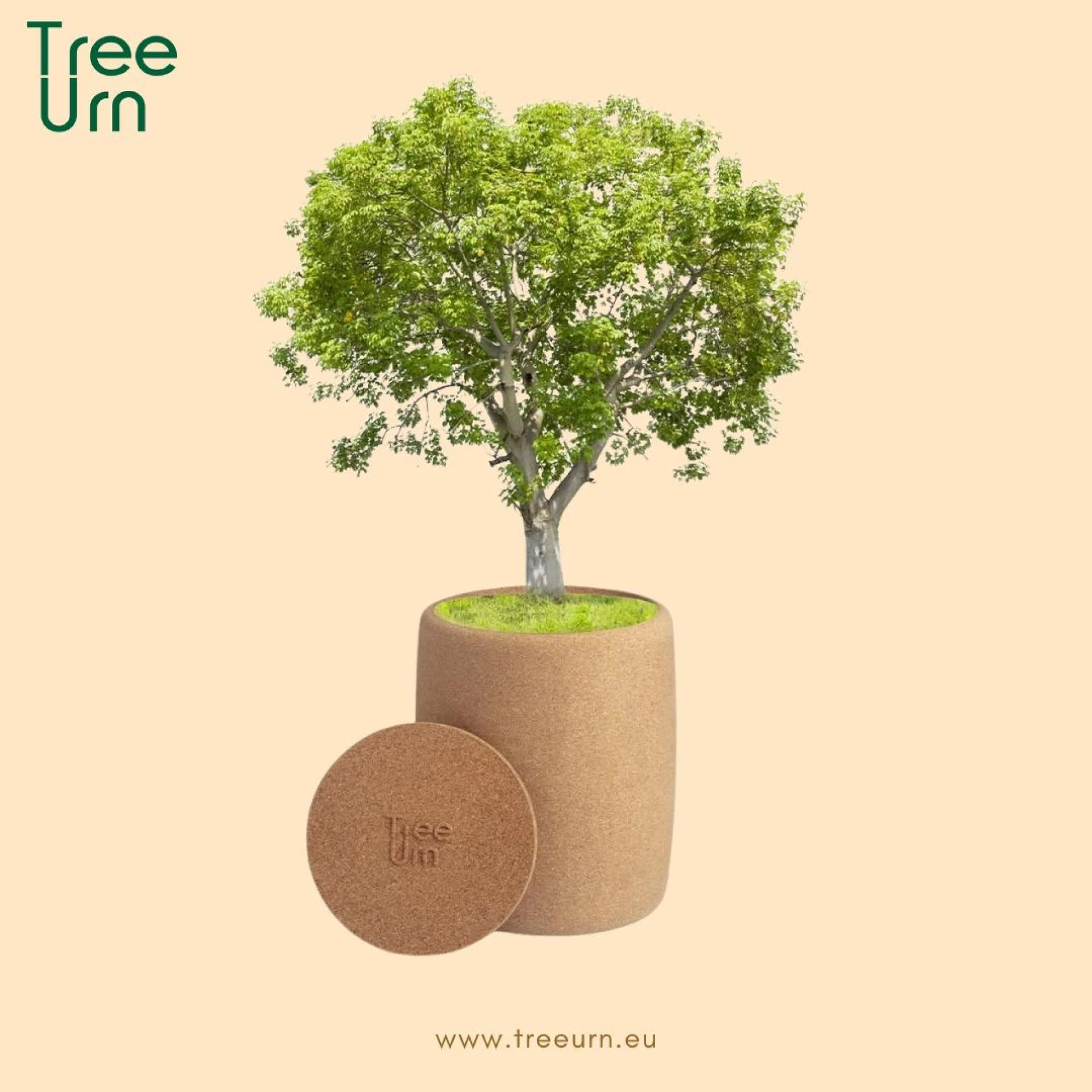 Buy Funeral Urns Online: A Meaningful Way to Honor Loved Ones