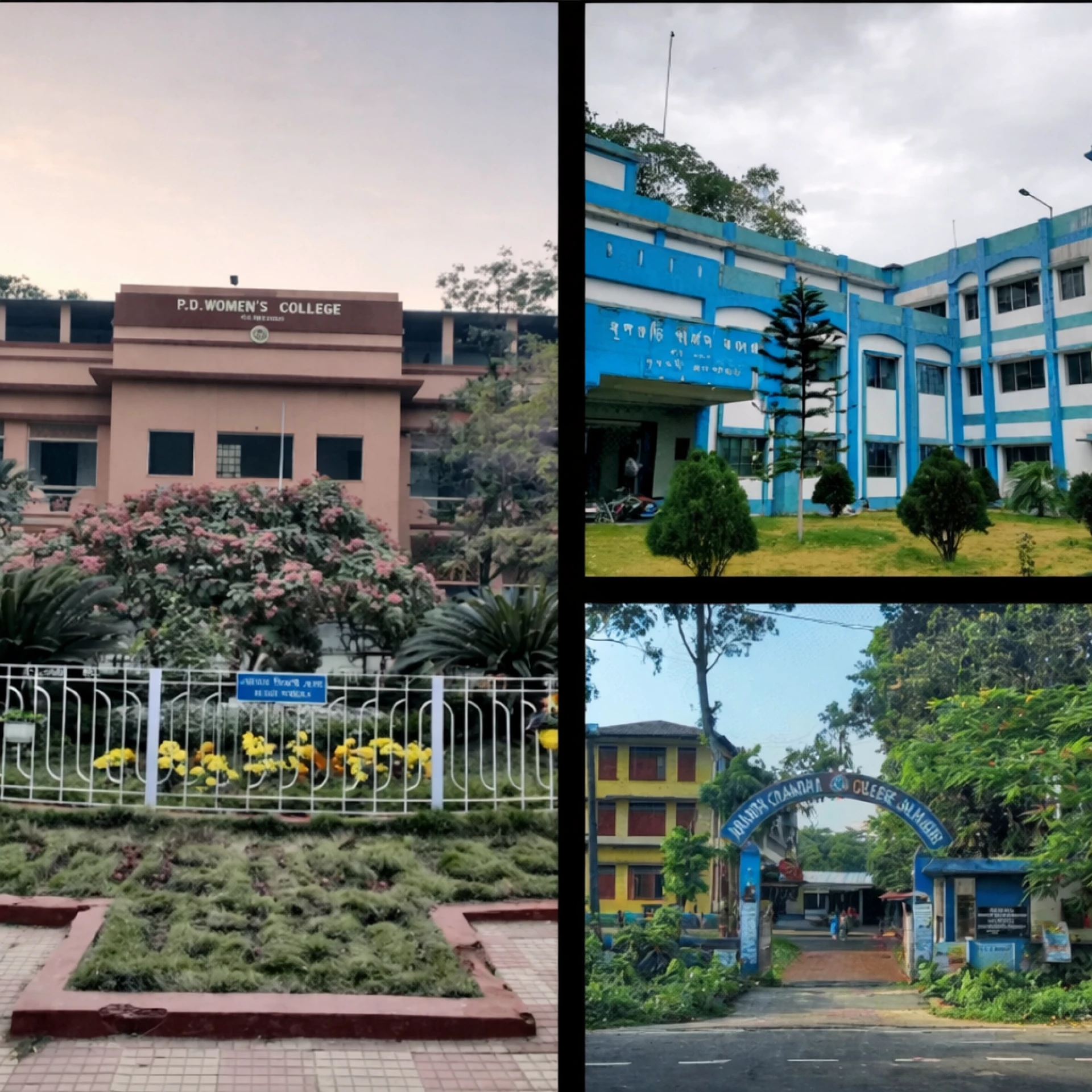 Government vs Private Colleges in North Bengal: A Student’s Perspective