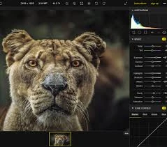 Common Photo Editing Mistakes to Avoid