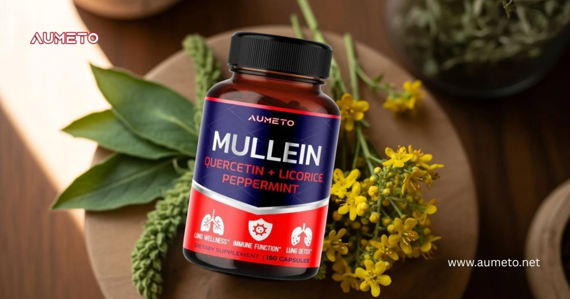 Mullein Supplement for Lungs: Natural Respiratory Support for Better Breathing