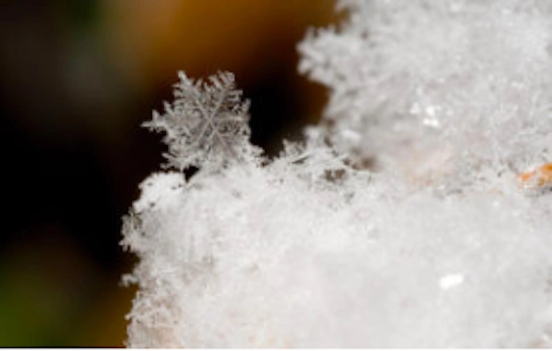 At the Crossroads of Style and Cultural Expression