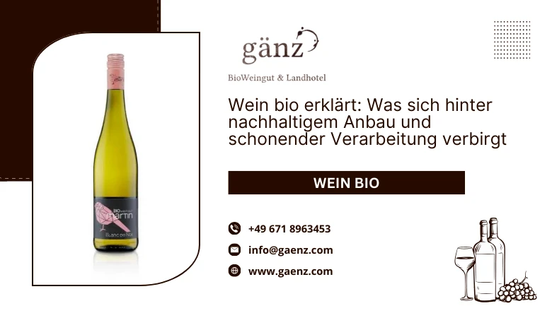 Wein bio erklärt: Was sich hinter nachhaltigem Anbau und schonender Verarbeitung verbirgt 🍷🌱