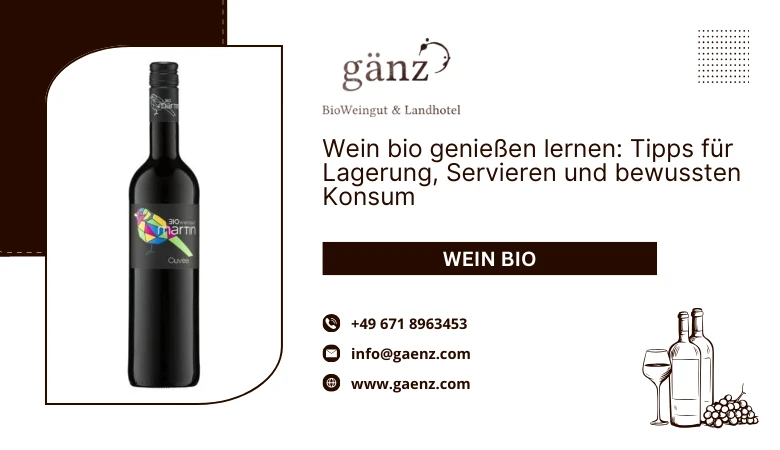 Wein Bio genießen lernen: Tipps für Lagerung, Servieren und bewussten Konsum 🍷🌱