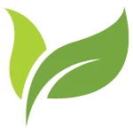 vegan restaurants